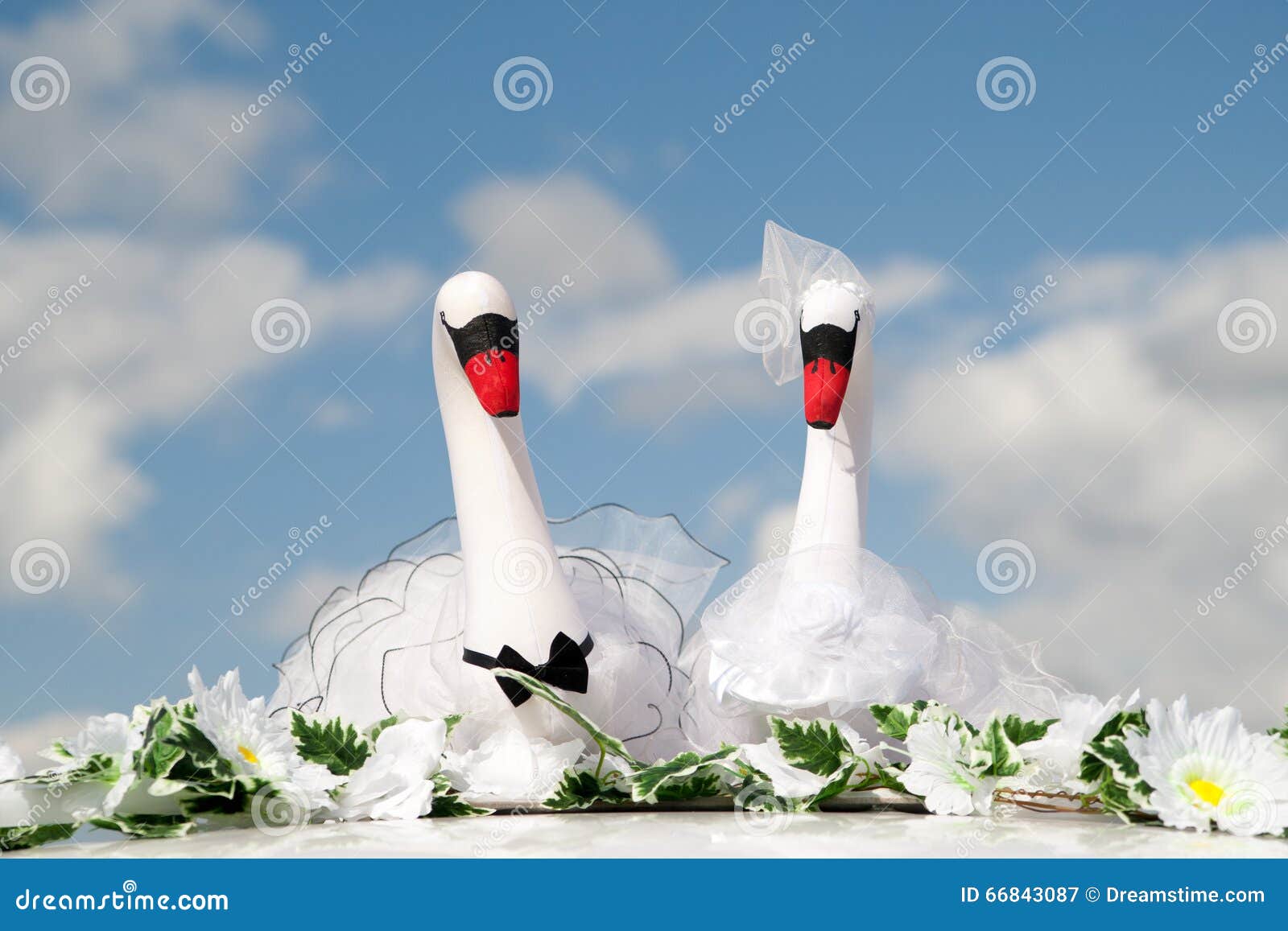 Swans stock image. Image of krai, favorite, jewelry, perm 66843087