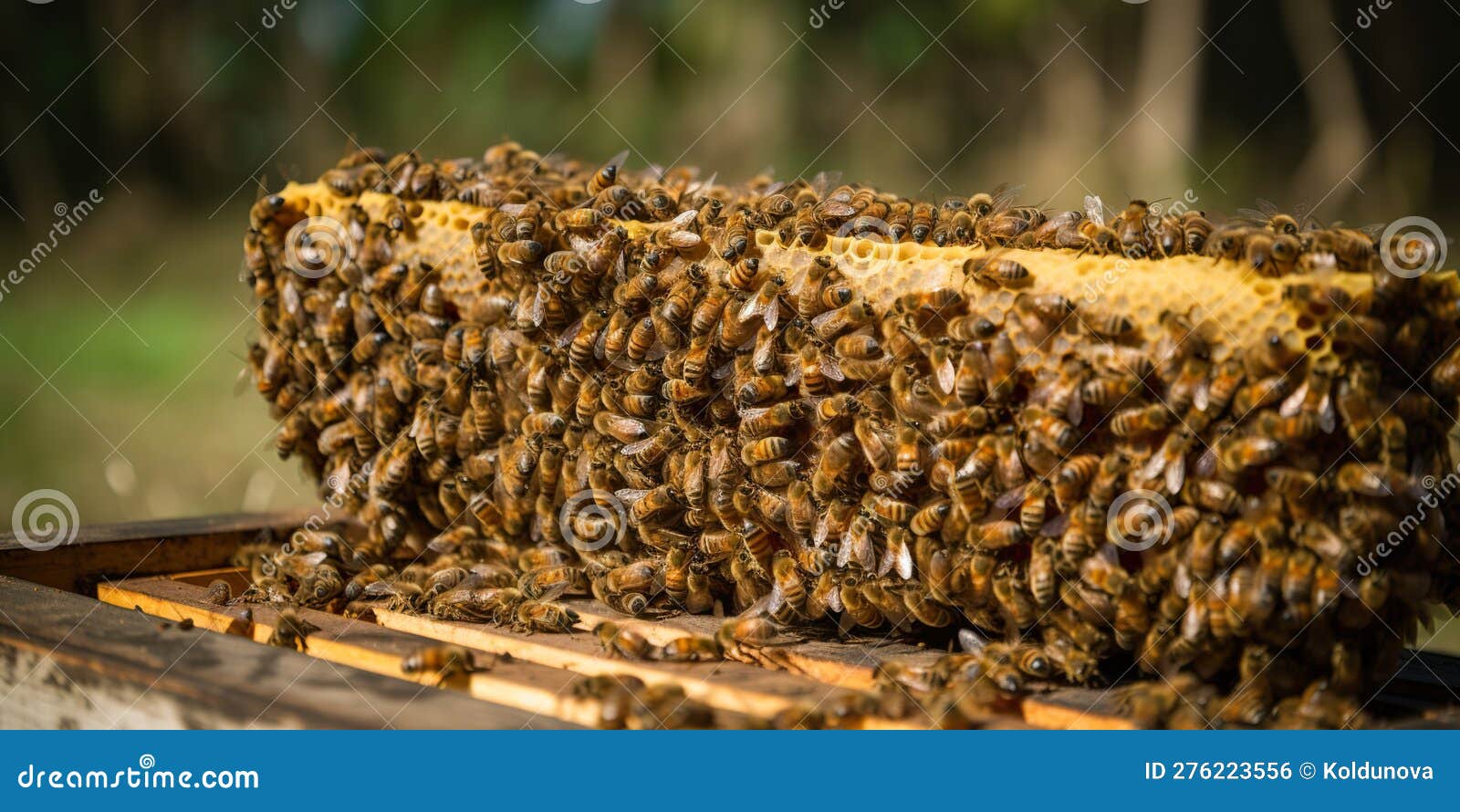 A Swarm of Bees Buzzing Around a Hive Made of Concept of Pollination Dynamics