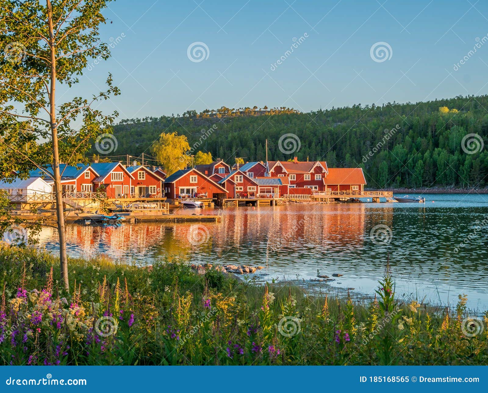 Swedish Archipelago in High Coast Area Image - of lake, area: 185168565