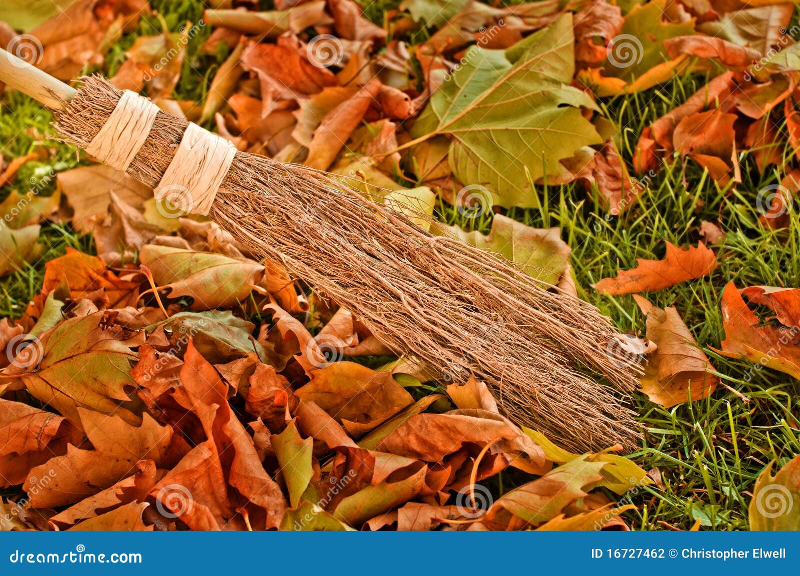Sweeping Autumn Leaves stock photo. Image of tool, leaves 16727462