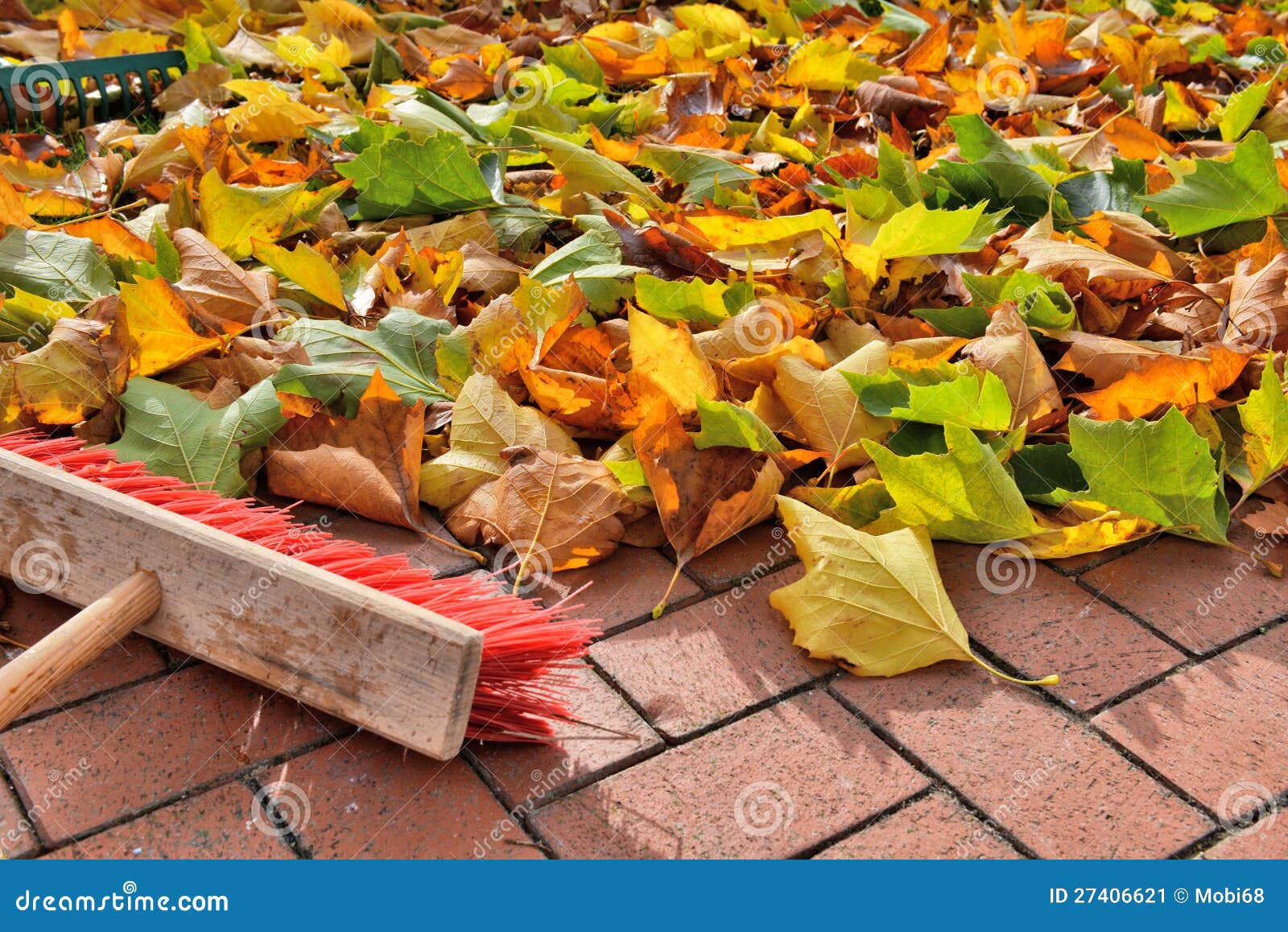 Sweeping leaves stock image. Image of bricks, leaf, green 27406621