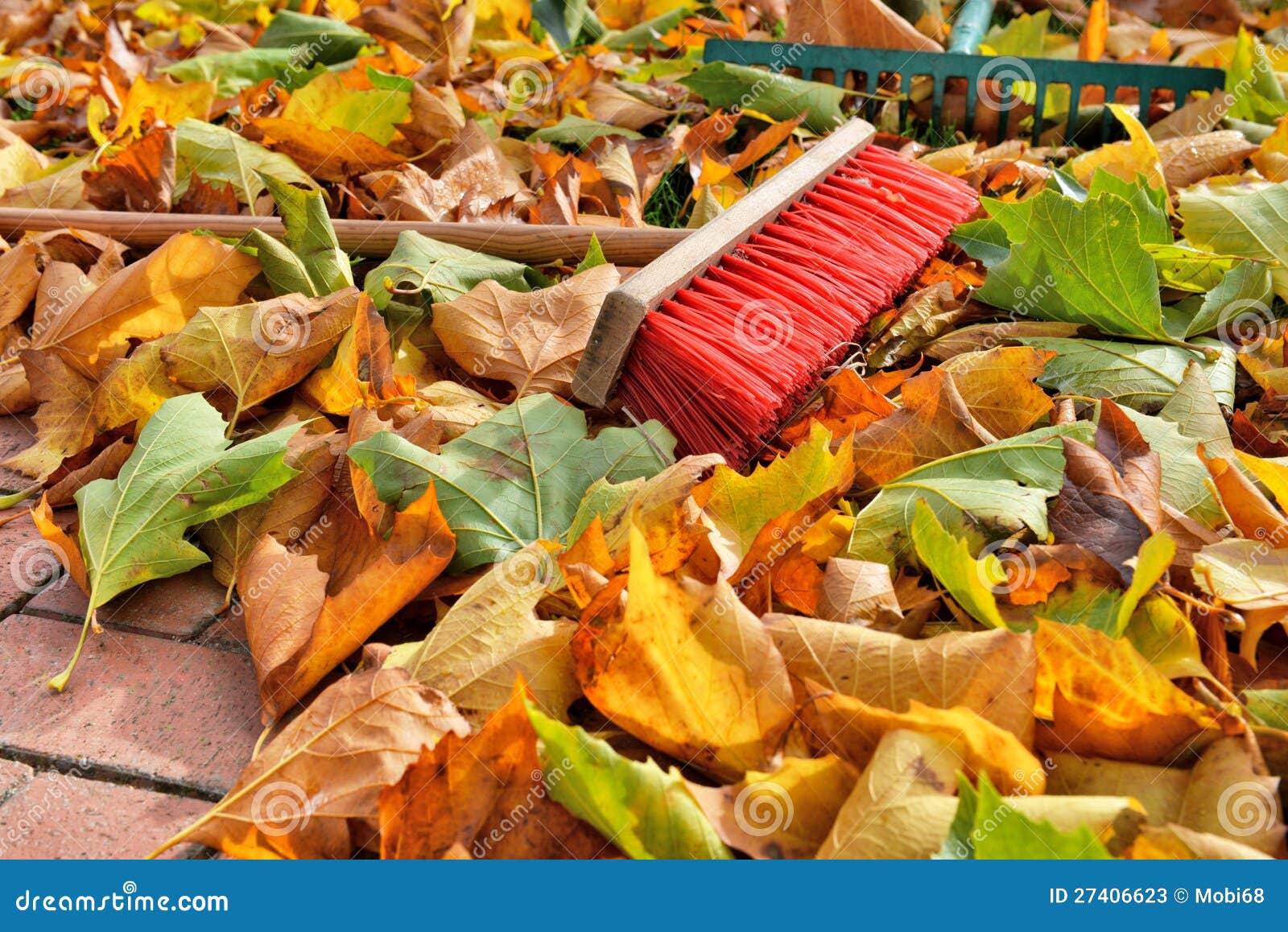 Sweeping leaves stock image. Image of plane, autumn, stones 27406623
