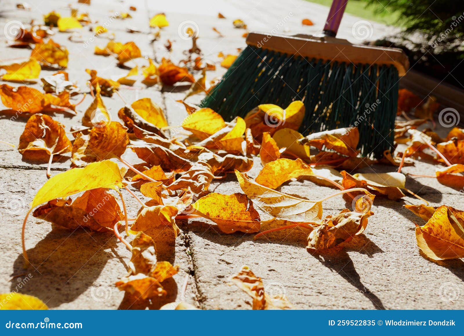 Sweeping Leaves. Fall Work Around the House in the Sunset Stock Image Image of rake, nature