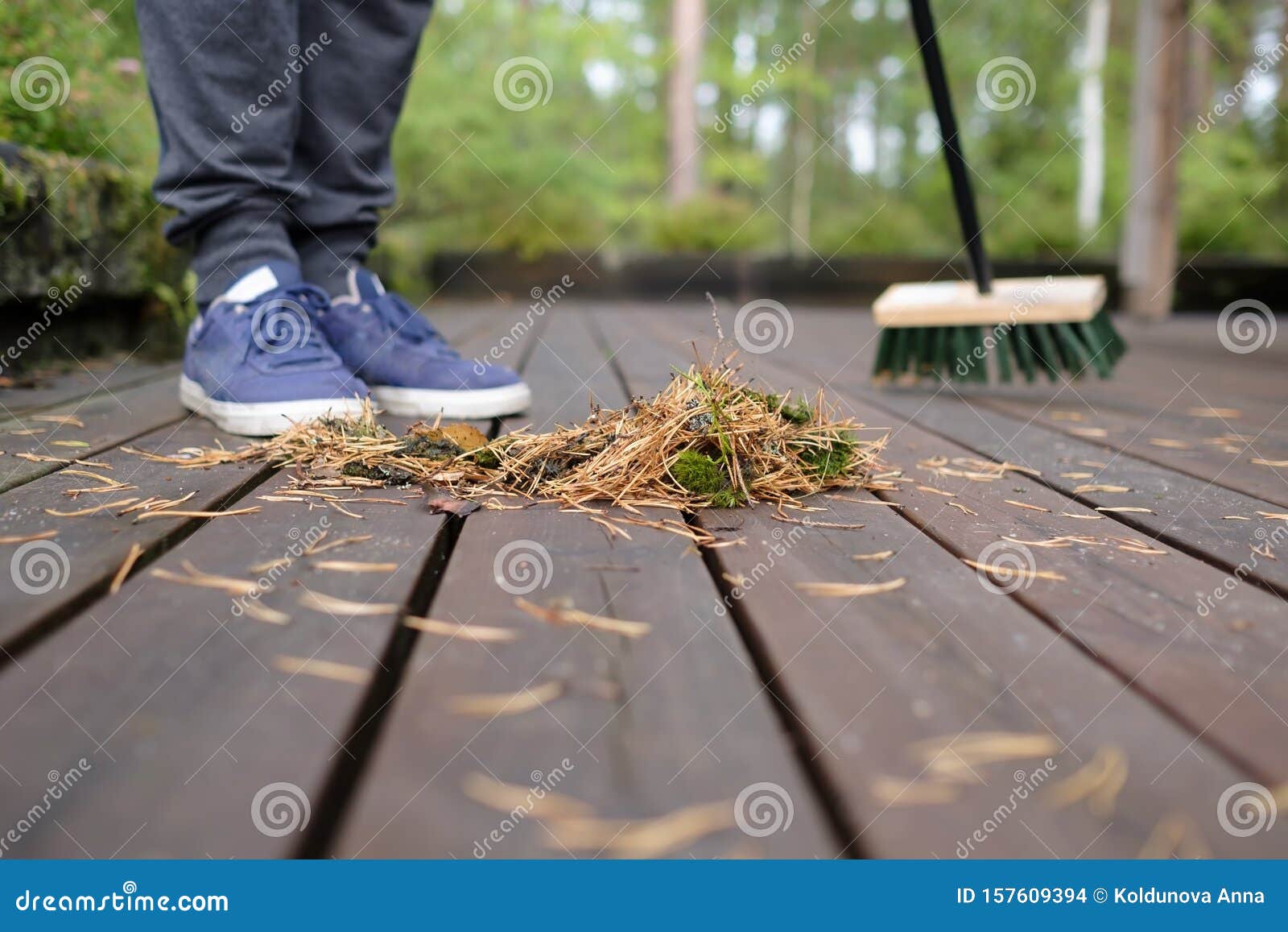 Sweeping a Wooden Flooring with a Mop from Pine Needles Stock Photo