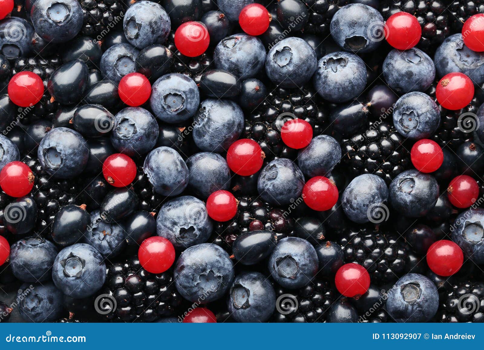 Sweet berries stock image. Image of closeup, freshness 113092907
