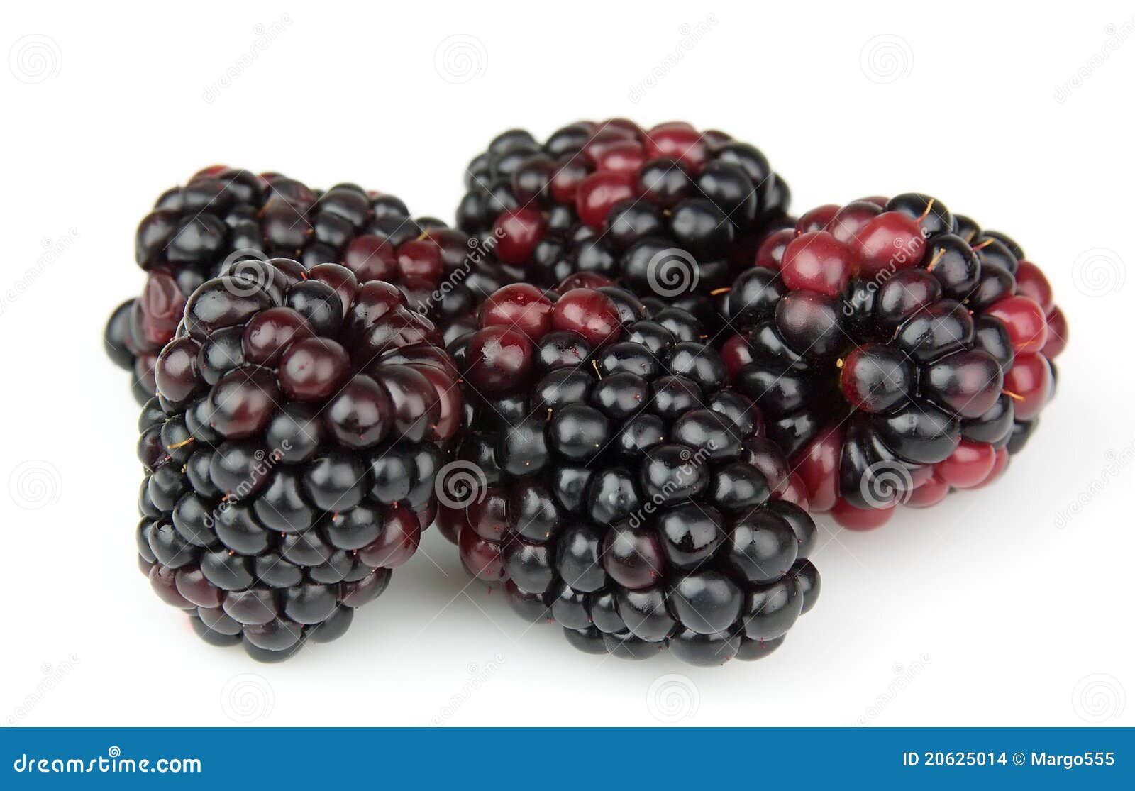 Sweet blackberry stock photo. Image of white, juice, blackberry 20625014