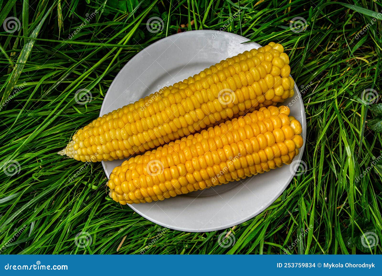 sweet-boiled-corn-with-salt-sugar-and-butter-lying-stock-photo-image