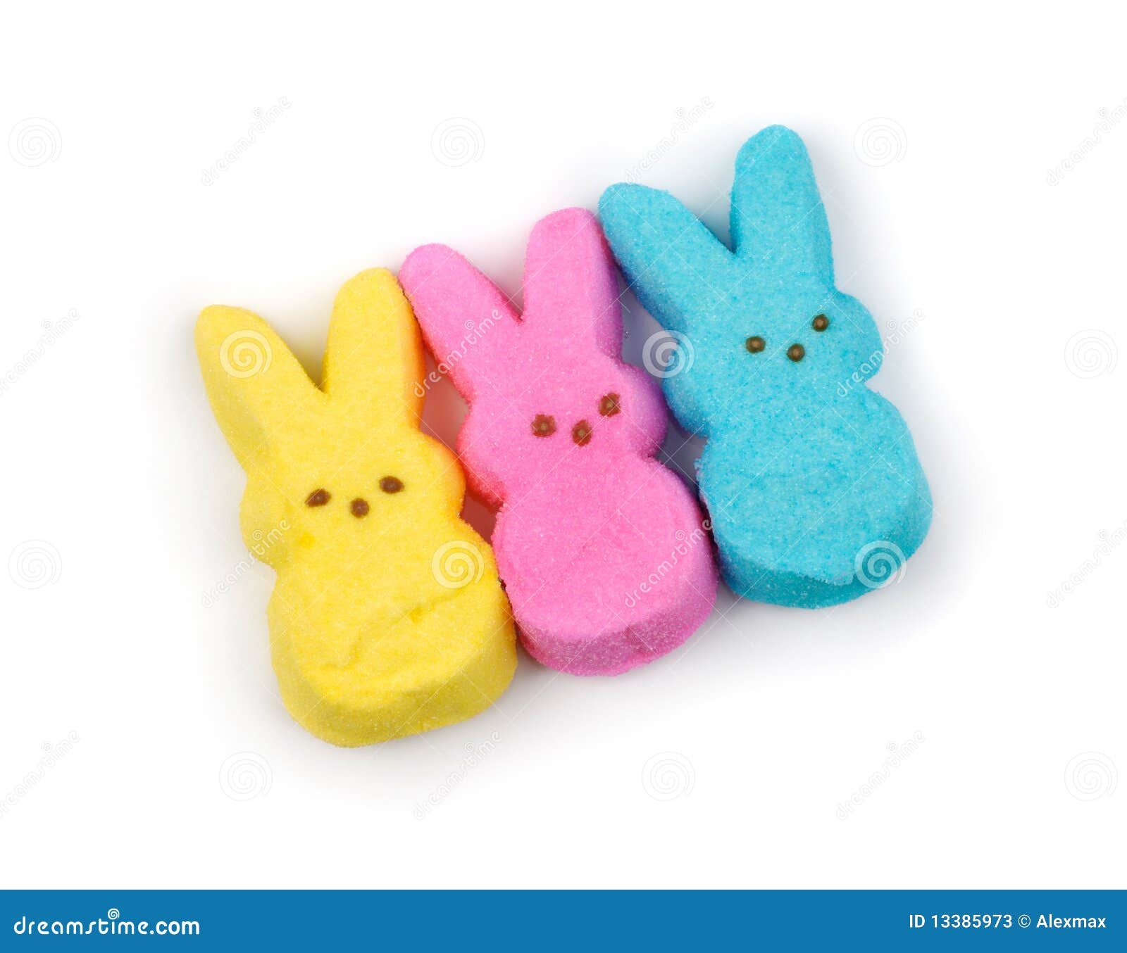 Sweet Bunnies stock image. Image of white, food, yellow 13385973