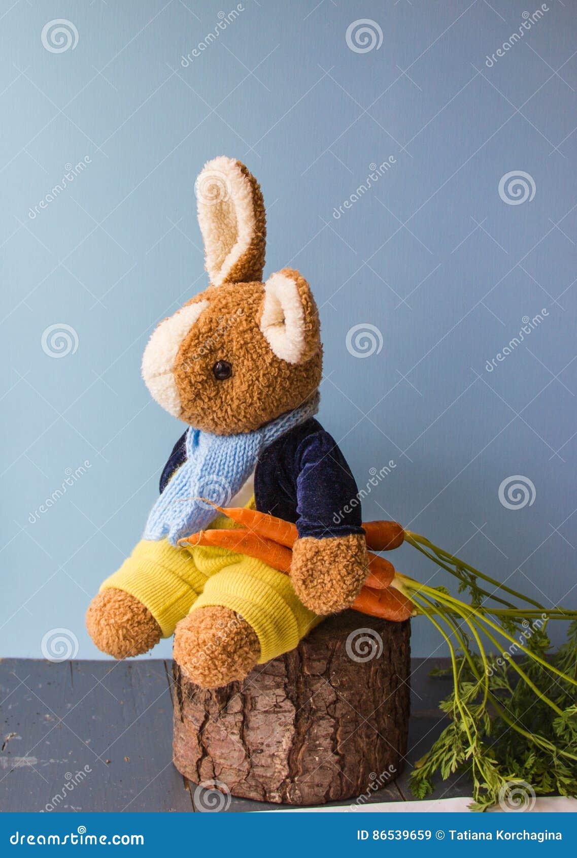 Carrot Easter Teddy Bear Doll  Sweater Clothing Medium cream with orange 
