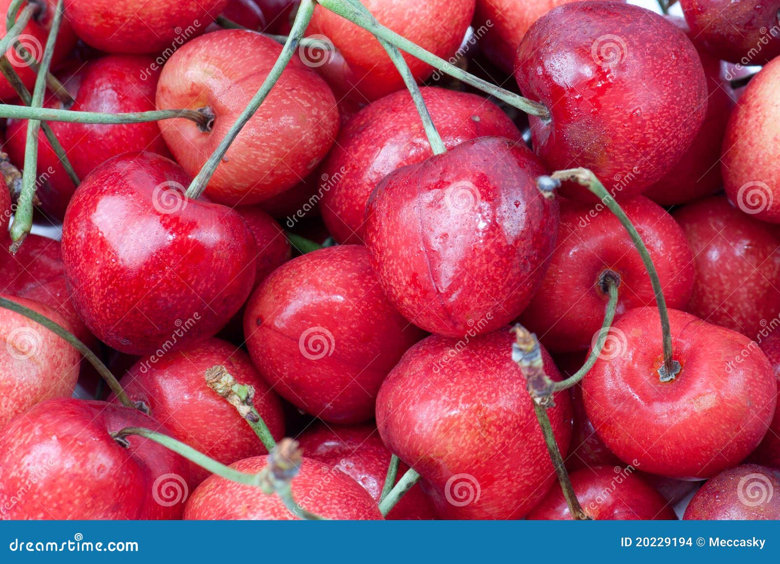 Sweet cherries stock photo. Image of delicious, color 20229194