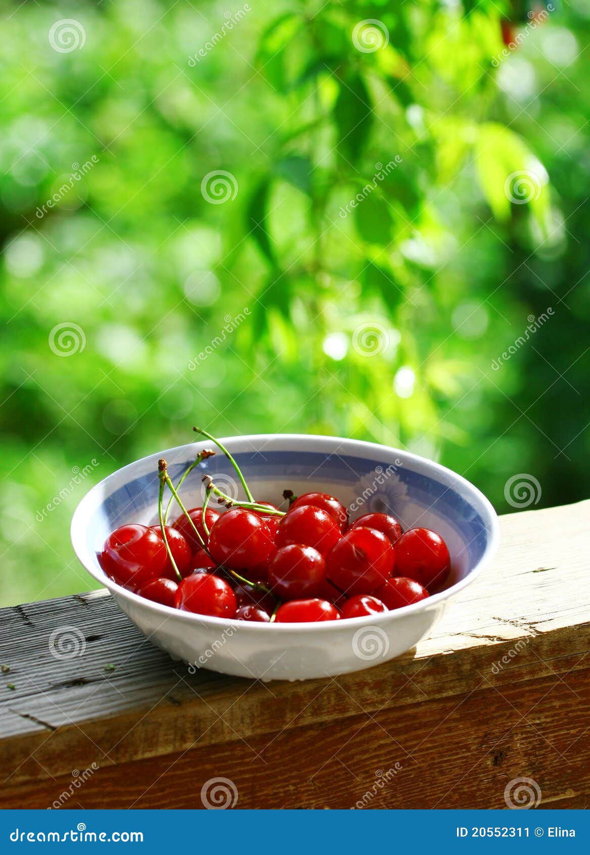 Sweet cherries stock image. Image of juicy, dish, breakfast 20552311
