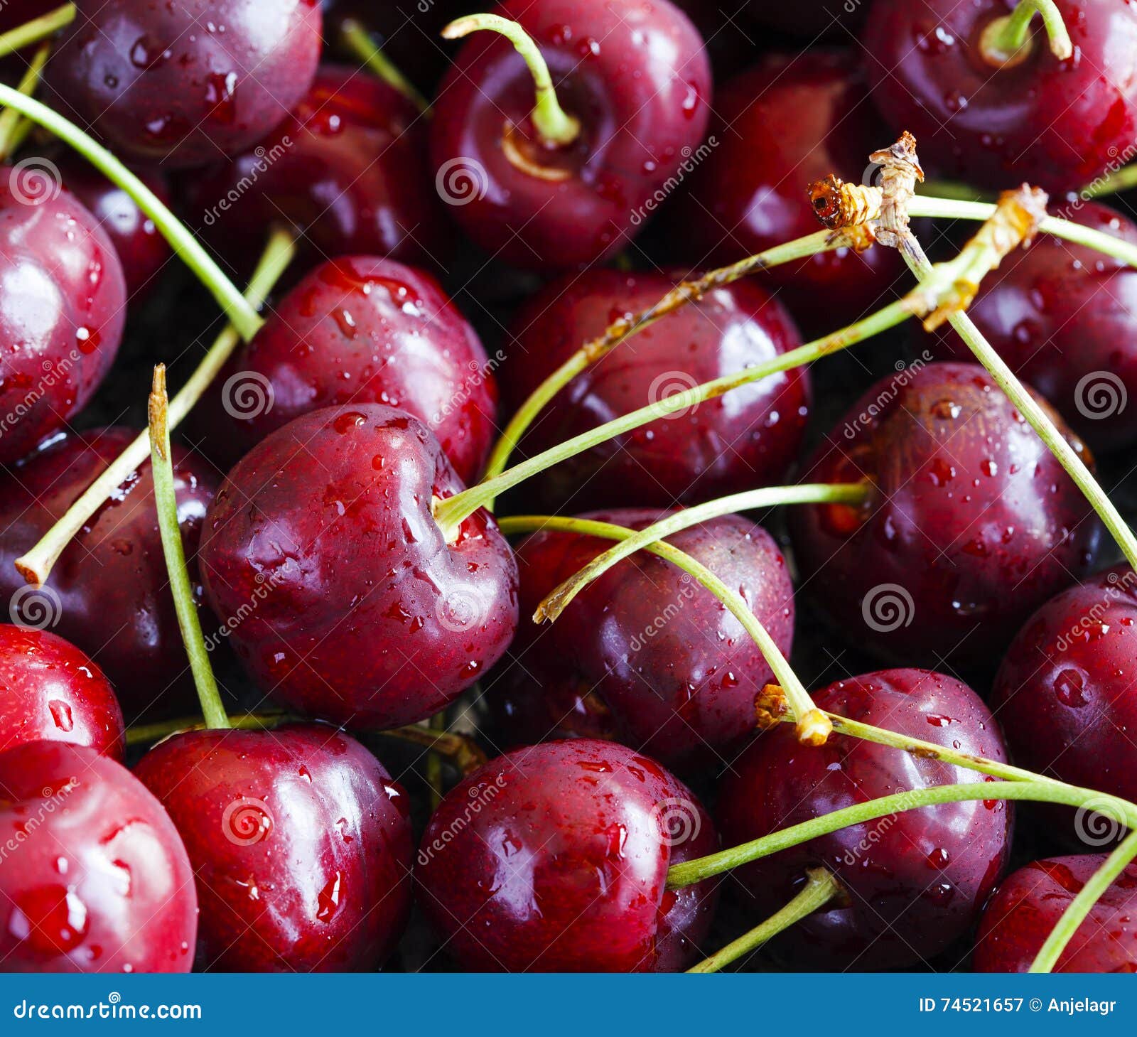 Sweet cherries stock image. Image of berry, cherries 74521657
