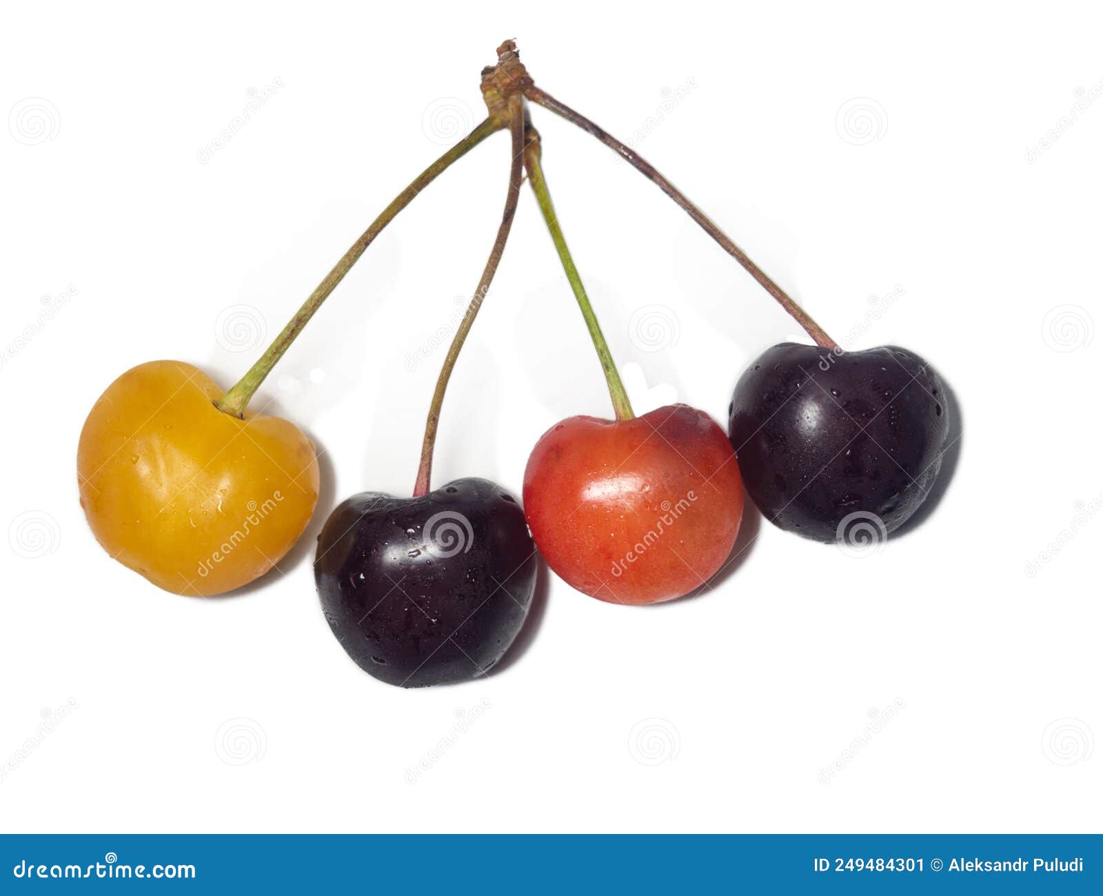 Cherry Vs. Berry- What Are the Significant Differences?