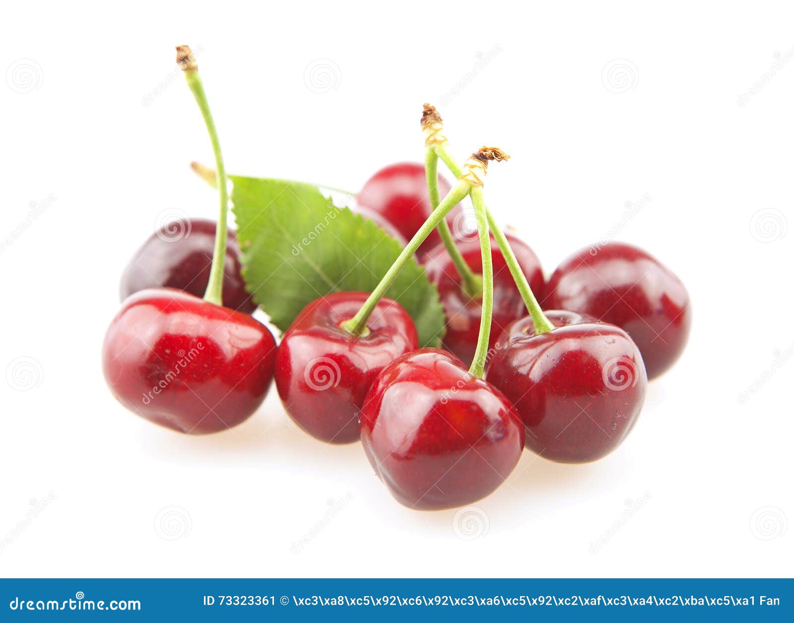 Sweet cherries stock image. Image of food, dessert, leaf 73323361