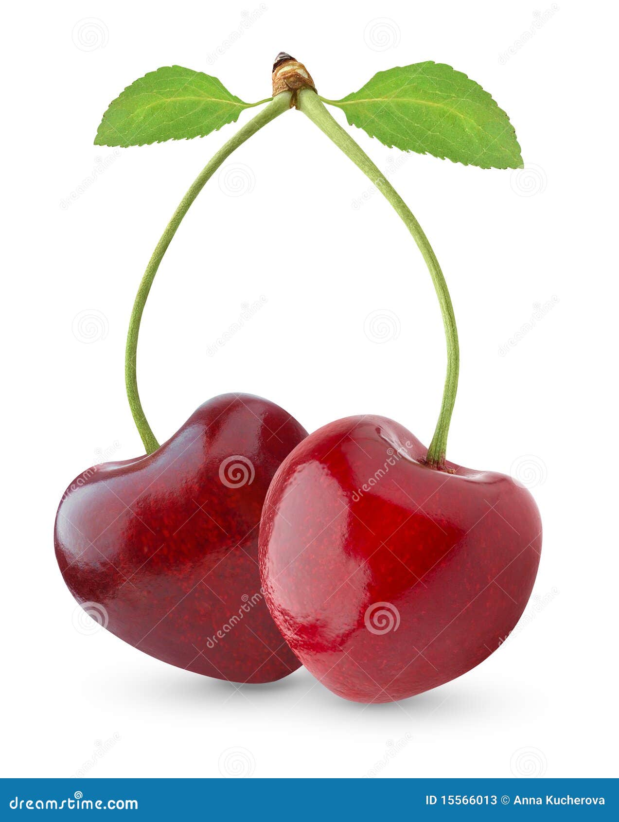 Isolated Heart Shaped Cherries Stock Image Image of fruit, closeup