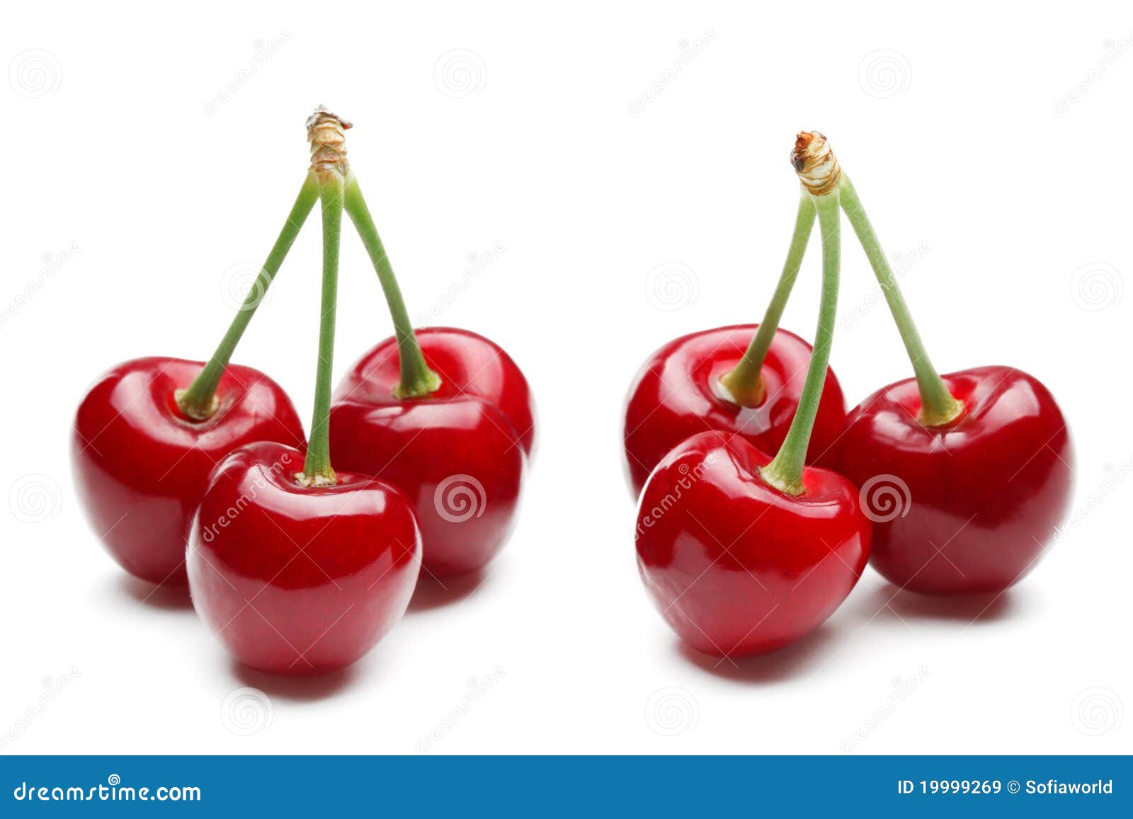 Sweet cherry stock image. Image of freshness, mellow - 19999269
