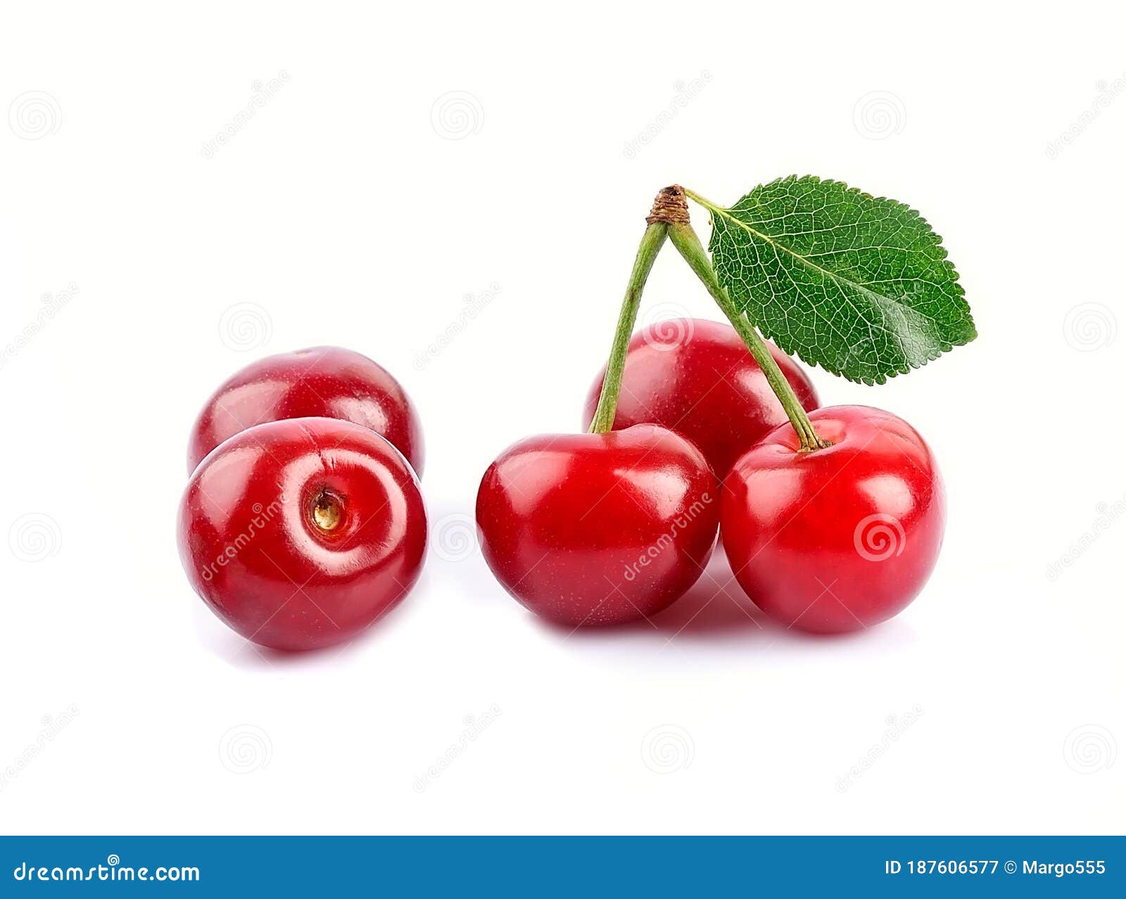 Sweet Cherry Berry with Leaves Stock Image - Image of amino ...