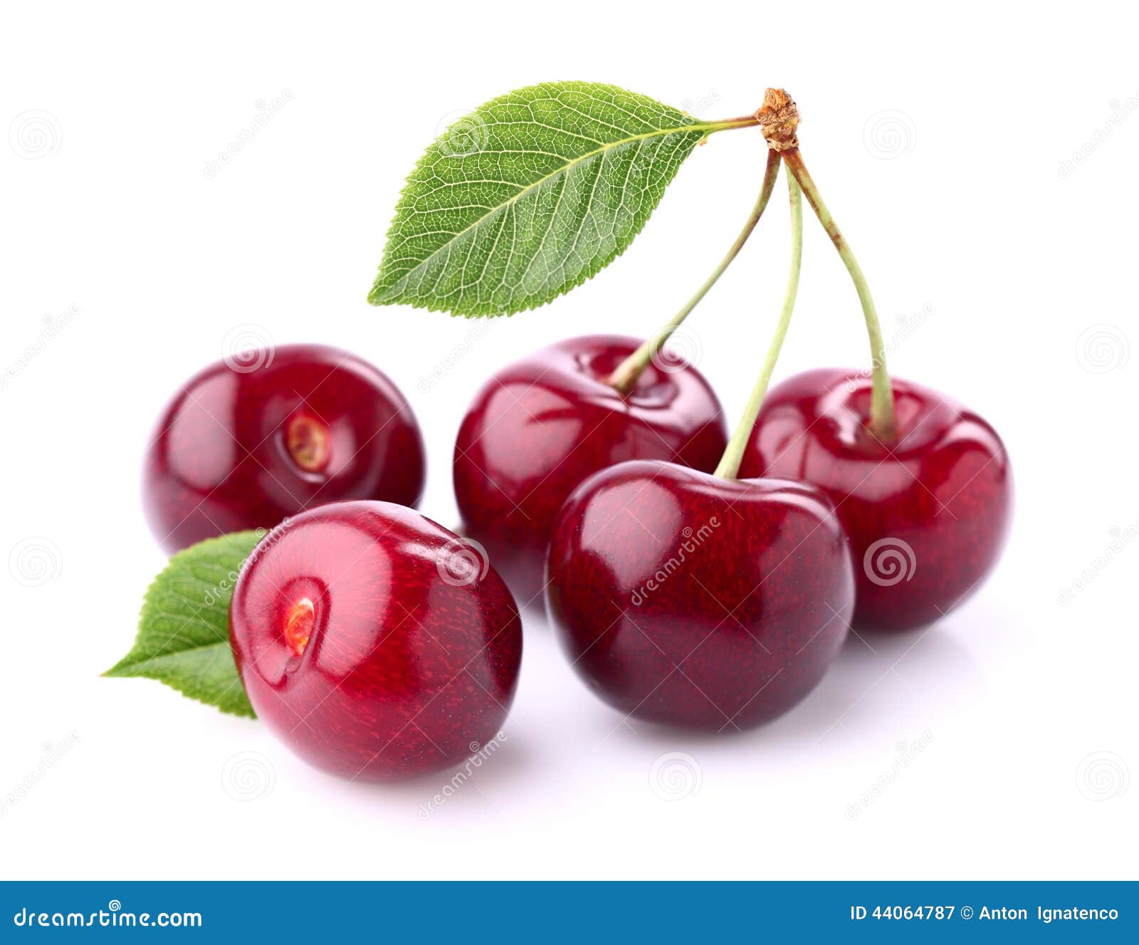 sweet cherry