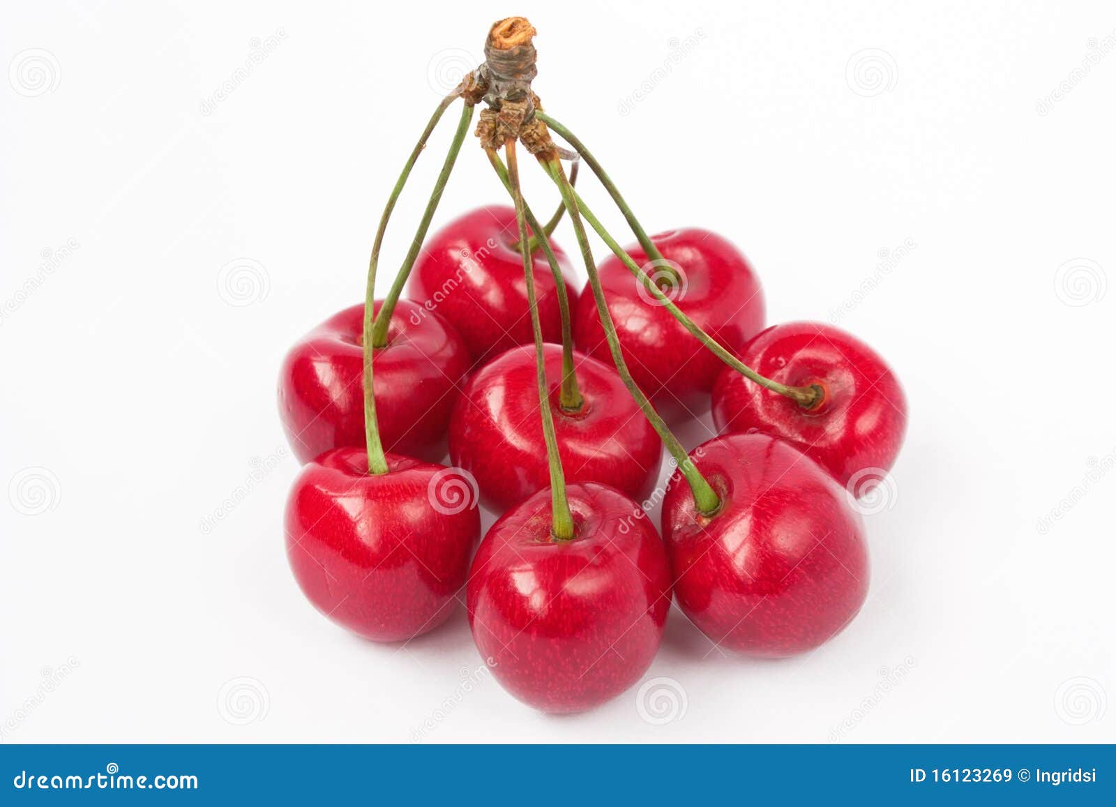 Sweet cherry with stem stock image. Image of cherry, biology - 16123269