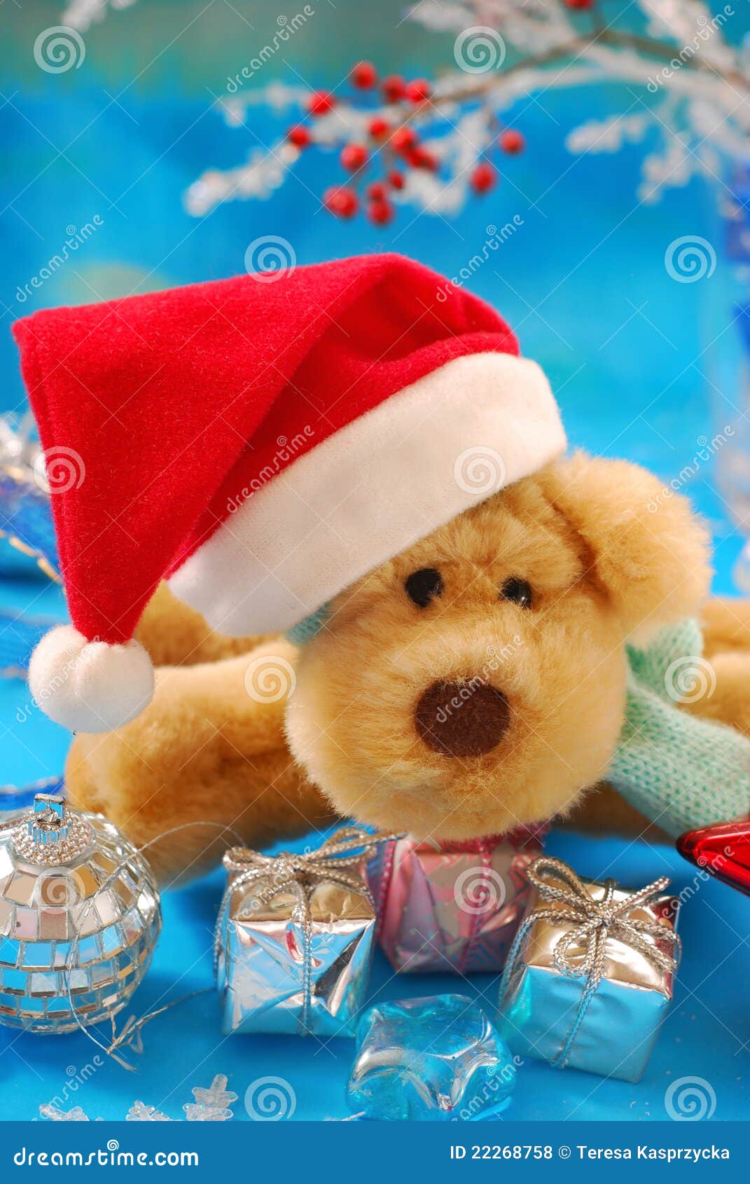 Sweet christmas gift stock photo. Image of mascot, child 22268758