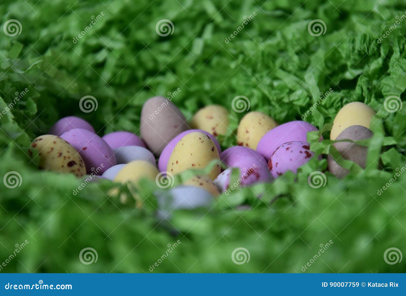 Sweet Colourful Candy Eggs in Green Grass Nest. Stock Image Image of