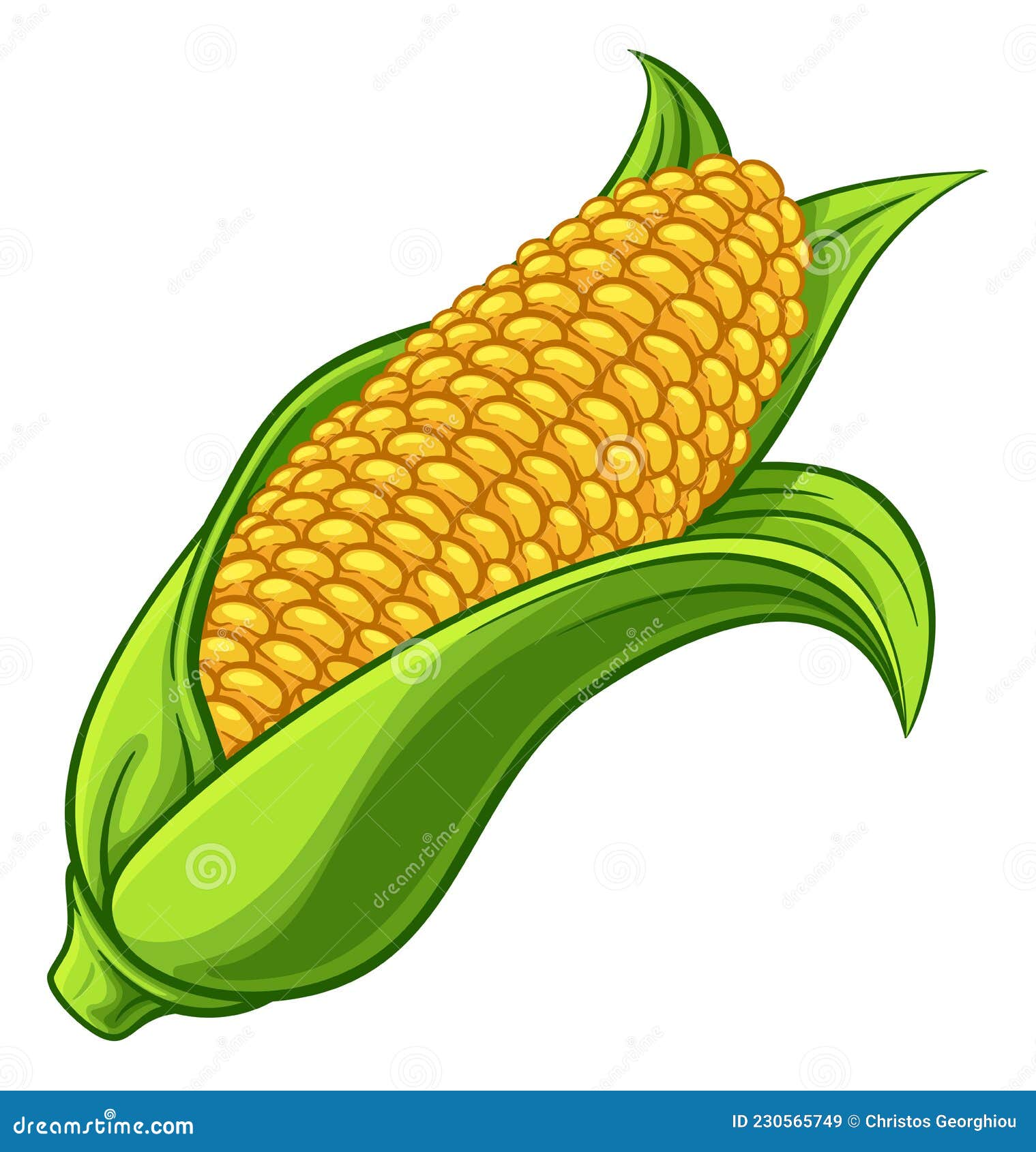 Sweet Corn Ear Maize Cob Cartoon Illustration Stock Vector