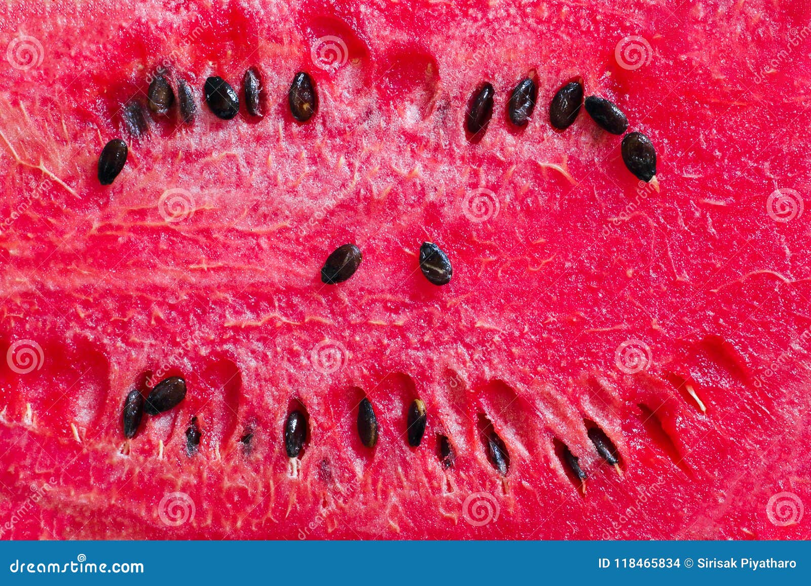 Sweet crimson watermelon stock photo. Image of smiling - 118465834