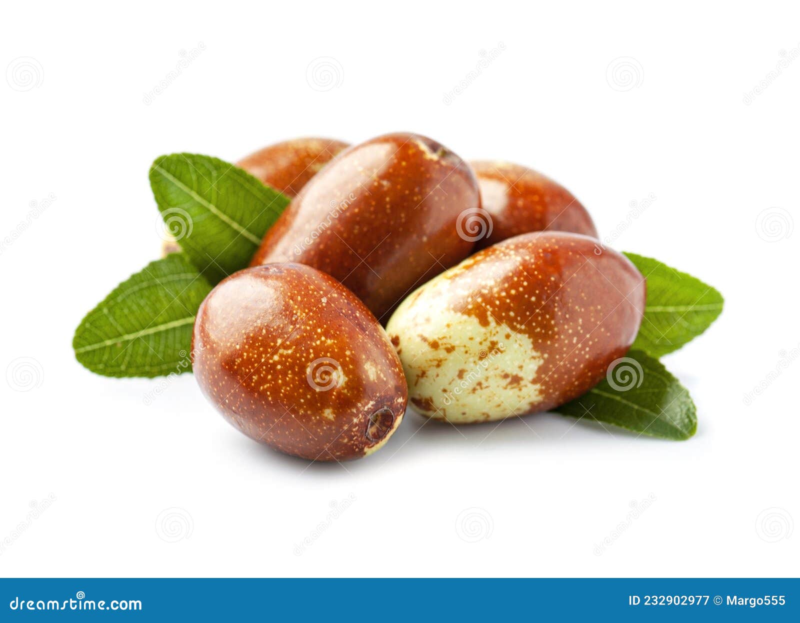 Sweet Dates Fruits with Leaves Stock Image Image of jojoba, vitamin