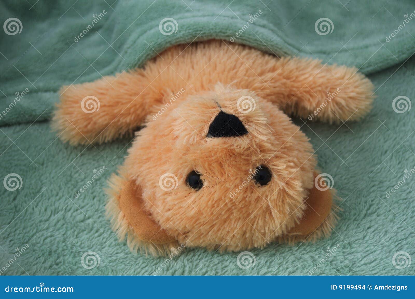 teddy bear sweet dreams