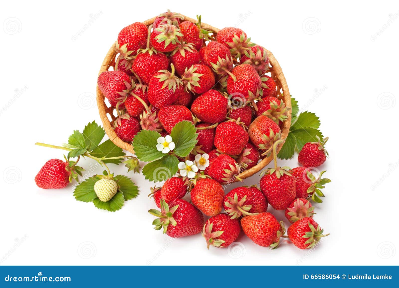Sweet, fragrant strawberries in a wicker basket isolated on white background