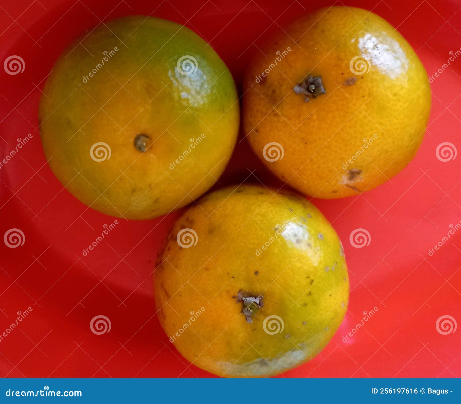 My Image 30