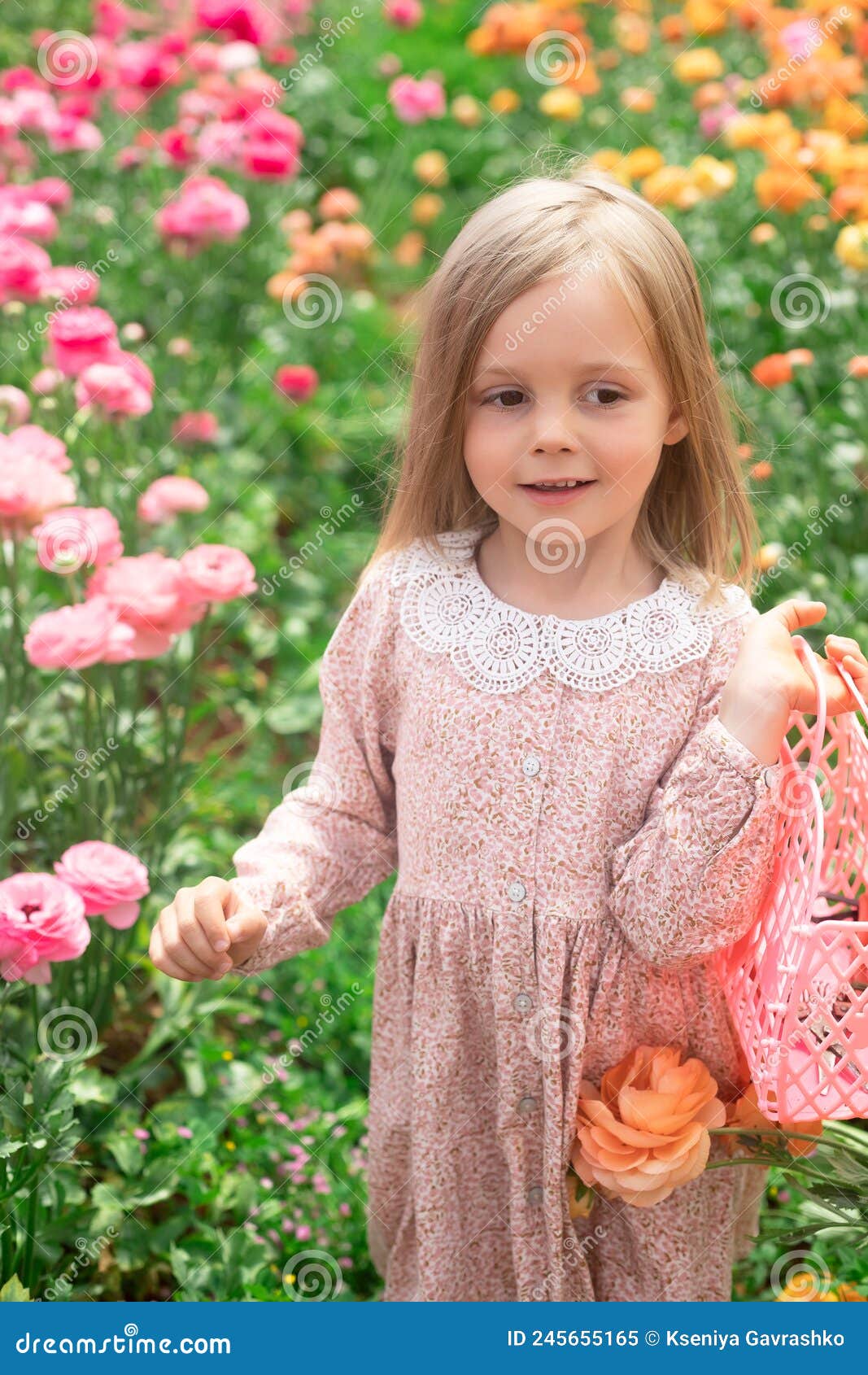 Sweet Girl in Flowers. Spring Concept. Summer Stock Image - Image of ...