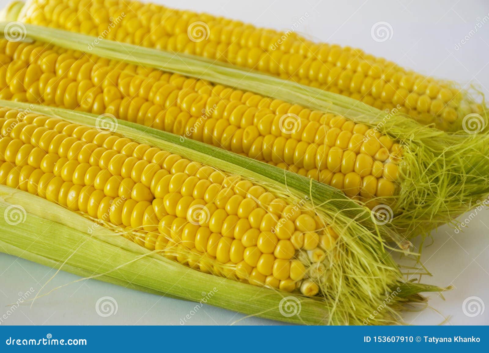 .Sweet Golden Corn. Image of a Yellow Grain of Sweet Corn on the Cob