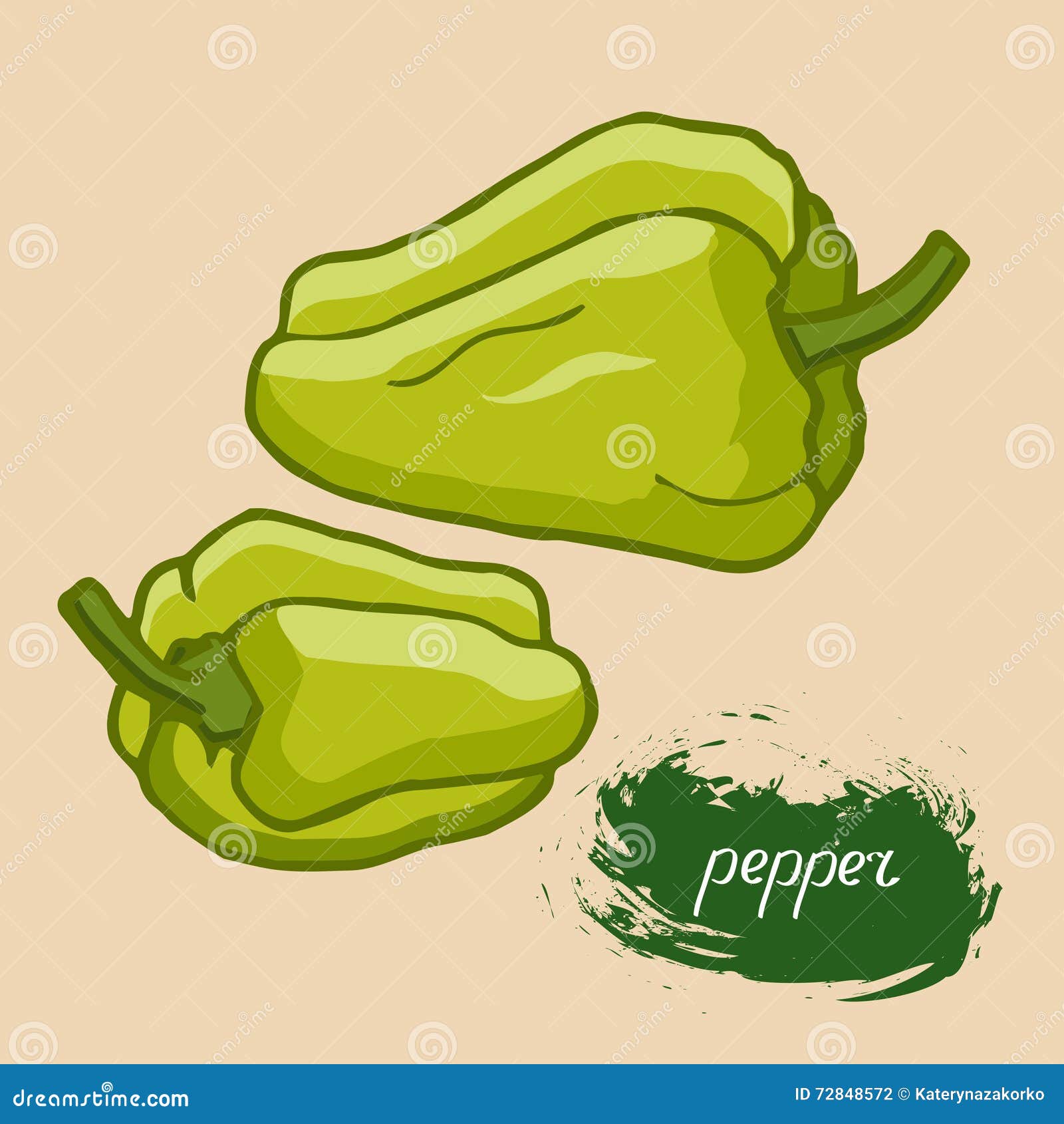 Sweet Green Pepper, Drawn in a Vector Stock Vector Illustration of