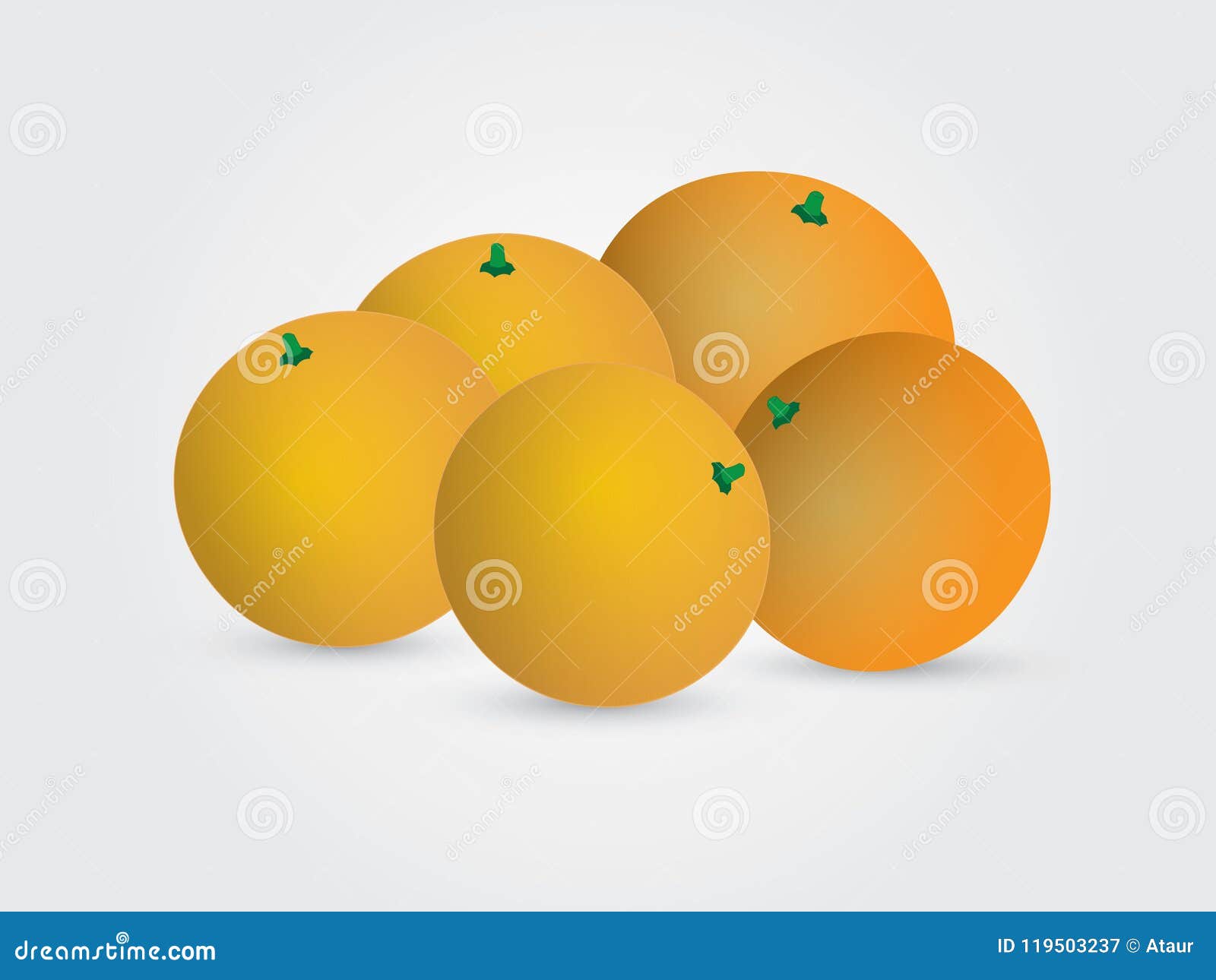 Sweet Oranges Tree Growth Stages. Vector Illustration. Ripening Period