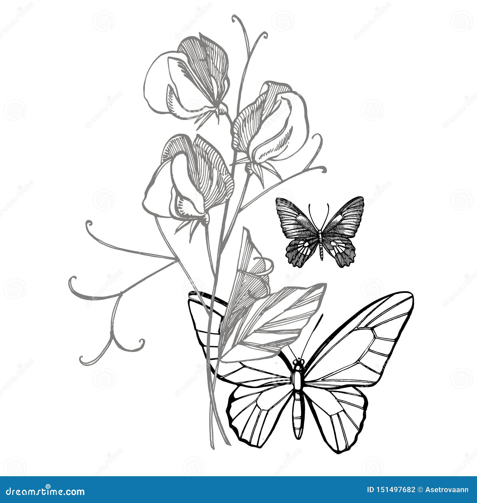 My Image 18