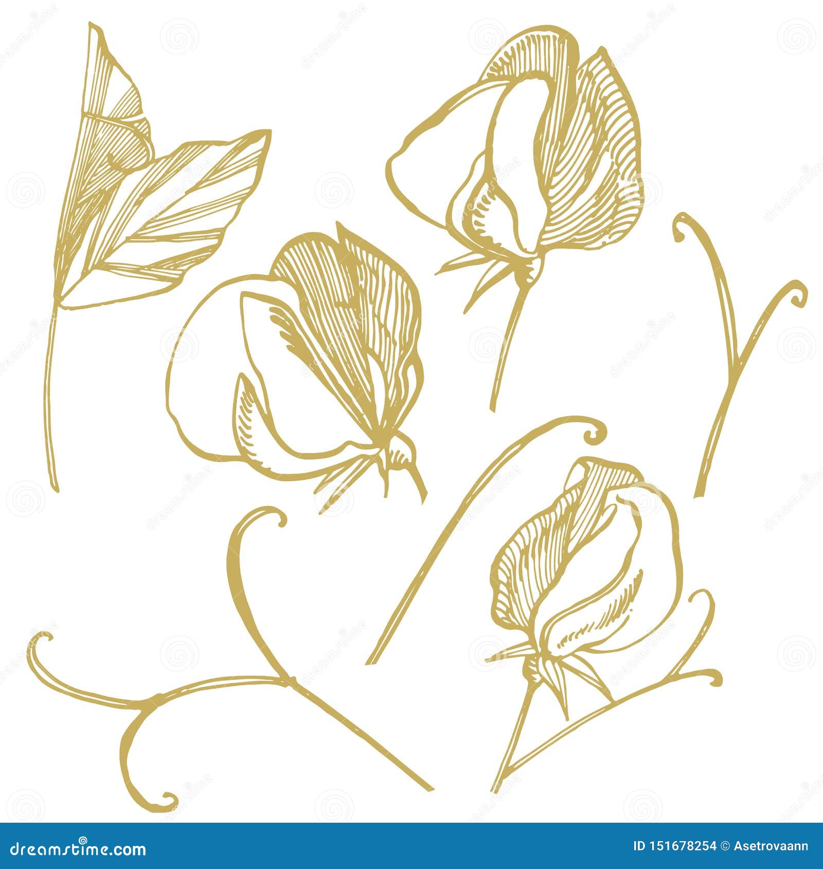 My Image 16