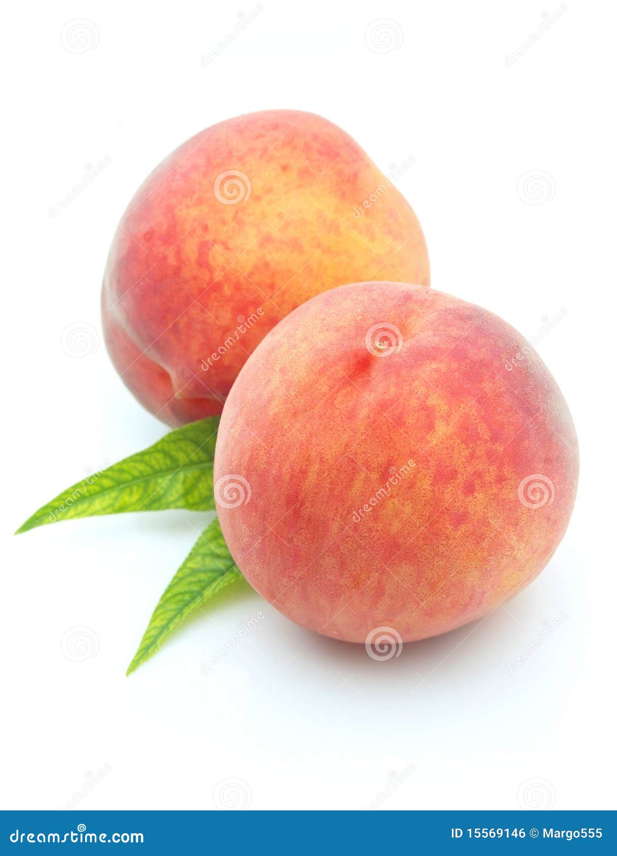 Sweet peaches stock photo. Image of natural, healthy 15569146