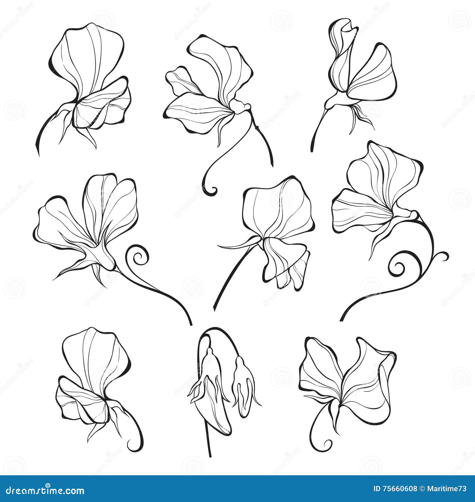 My Image 30