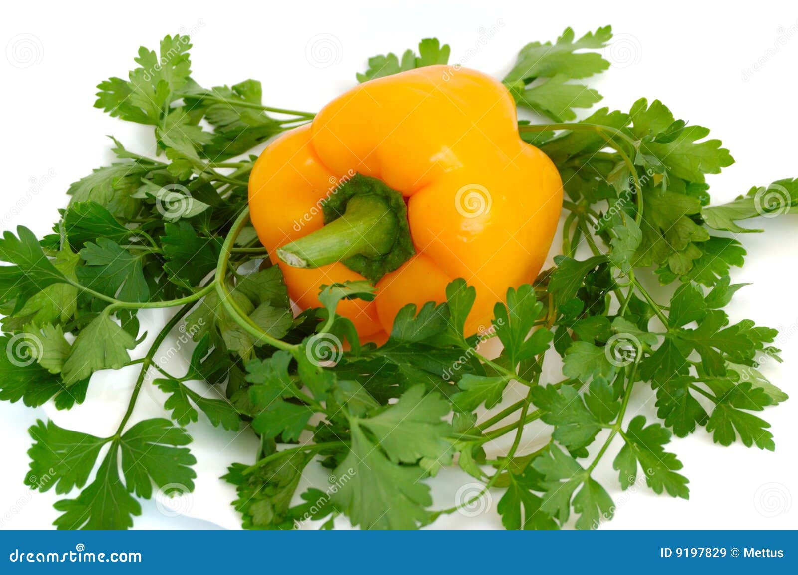 Sweet pepper and parsley stock image. Image of health 9197829