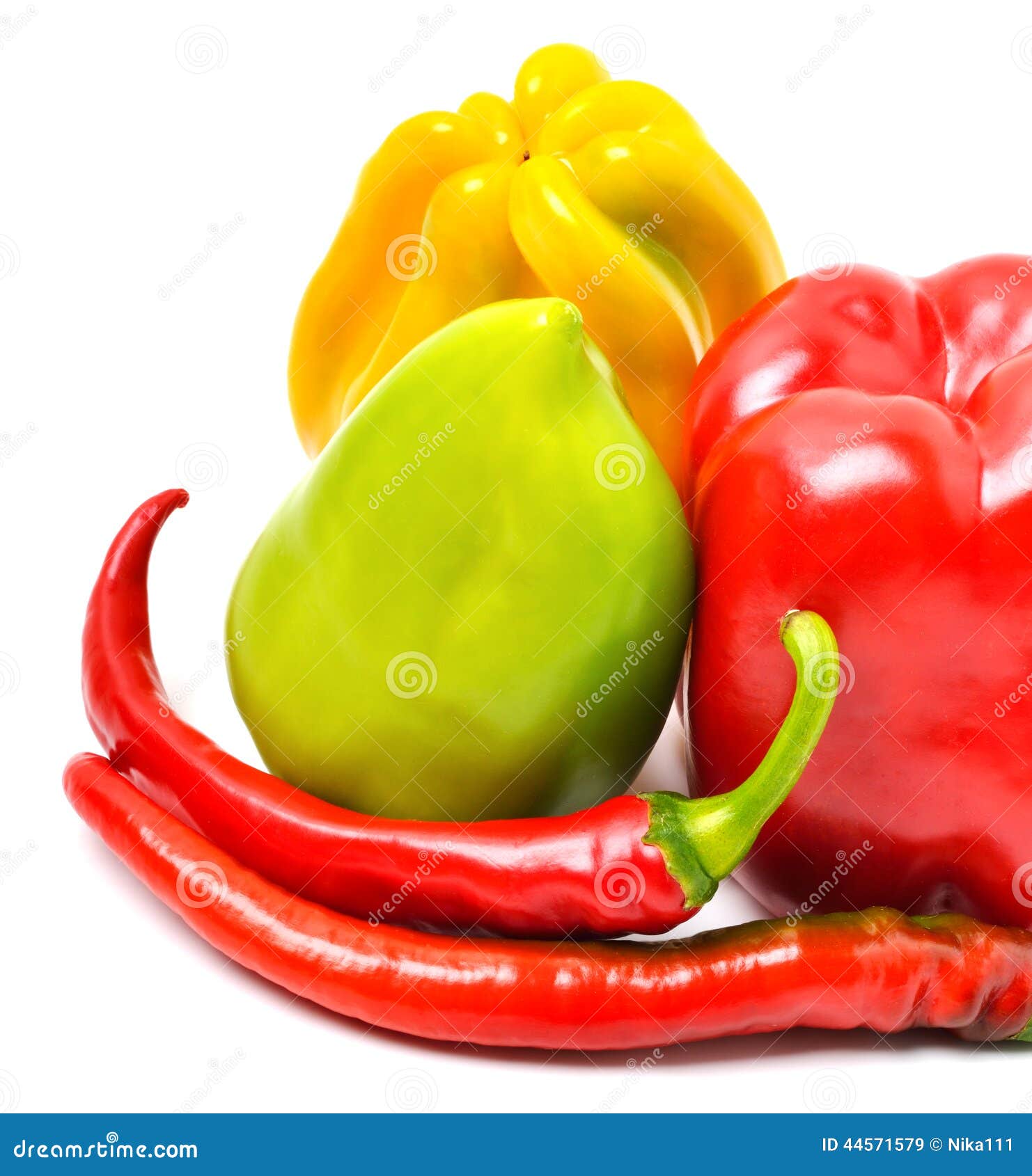 Sweet Peppers, Chili Peppers Stock Image Image of herbal, harvest