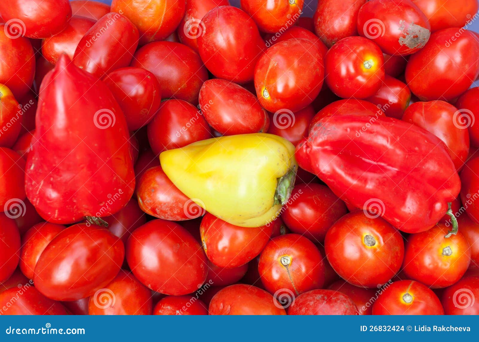 Sweet peppers and tomatoes stock photo. Image of ingredient 26832424