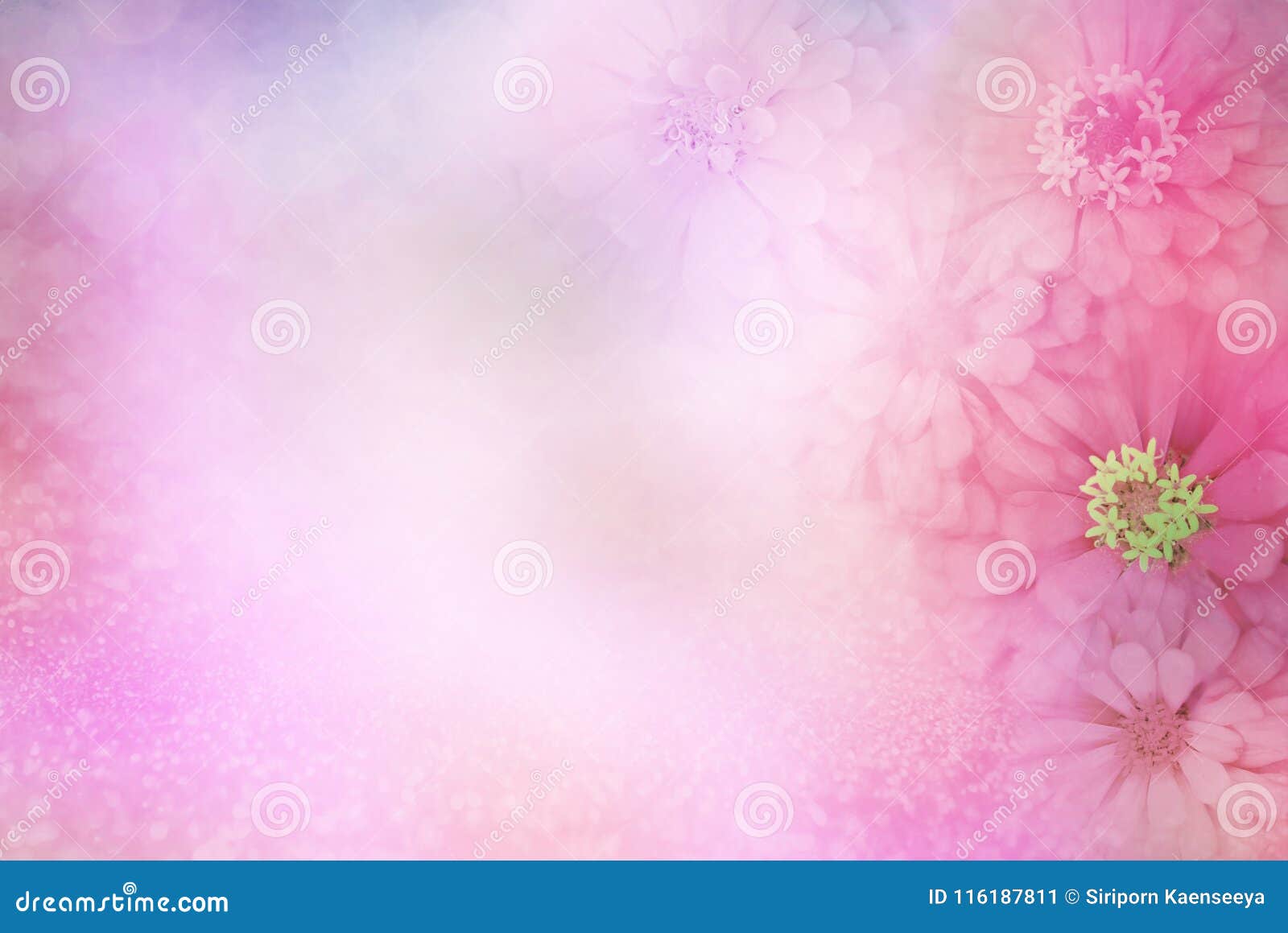 Sweet Pink Flower Border On Soft Glitter Background For ...