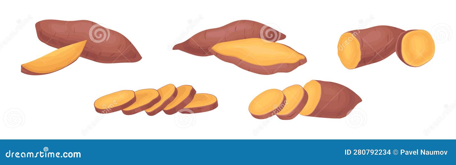 Sweet Potato As Large, Starchy, Sweettasting Tuberous Root Vegetable