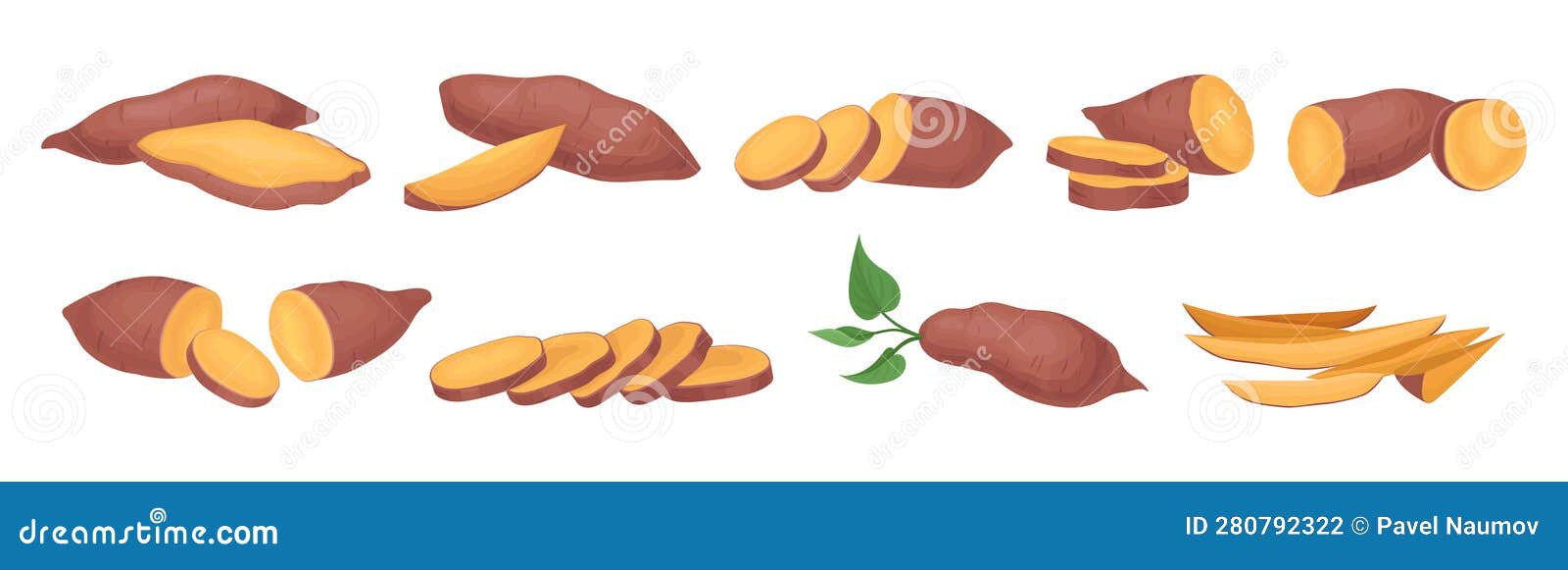 Sweet Potato As Large, Starchy, Sweettasting Tuberous Root Vegetable