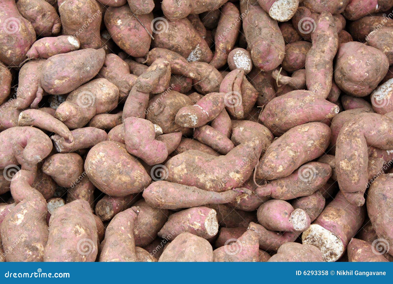 Sweet Potato Background stock photo. Image of potatoes 6293358