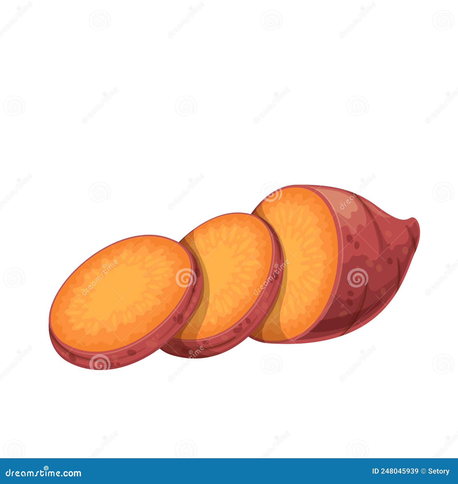 Sweet potato stock vector. Illustration of harvest, root - 248045939