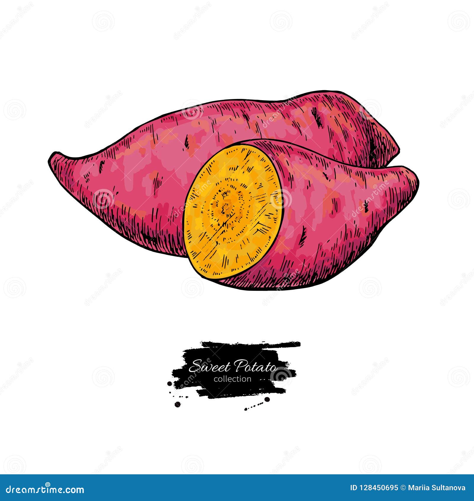 Sweet Potato Hand Drawn Vector Illustration. Isolated Vegetable Stock