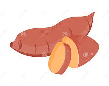 Sweet Potato Vector.Sweet Potato Illustration Stock Vector ...