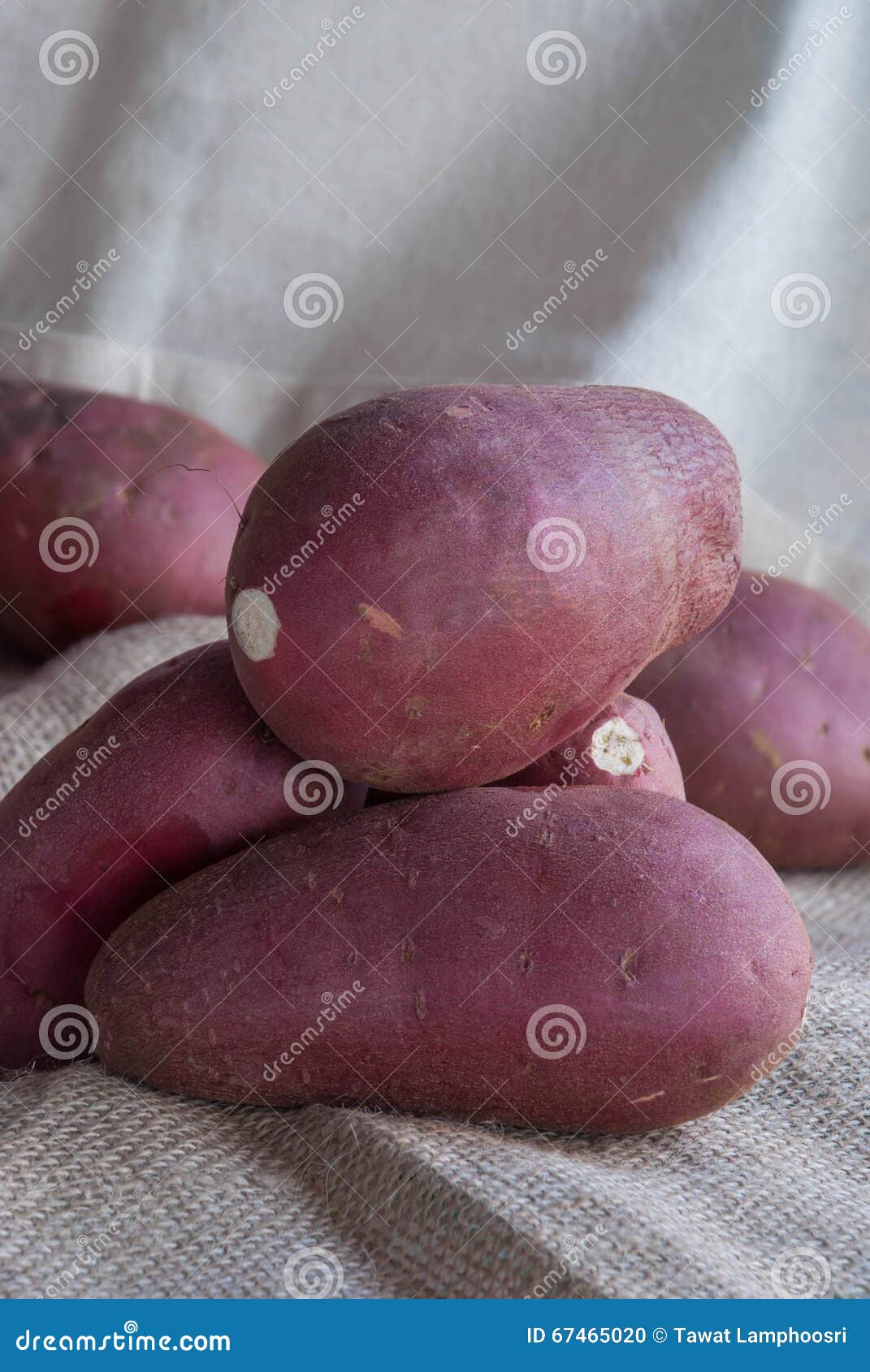 Sweet potatoes stock photo. Image of carbohydrate, healthy 67465020